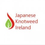 Japanese Knotweed Ireland