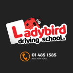 Ladybird Driving School Dublin