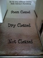Dunne Carpet & Upholstery Cleaning